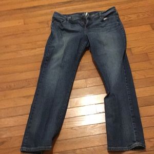 Ann Taylor loft jeans
